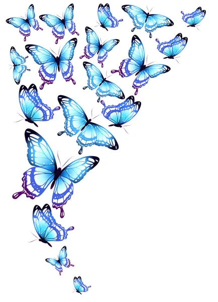 Blaue Schmetterlinge Isoliert Auf Weißem Hintergrund — Stockfoto