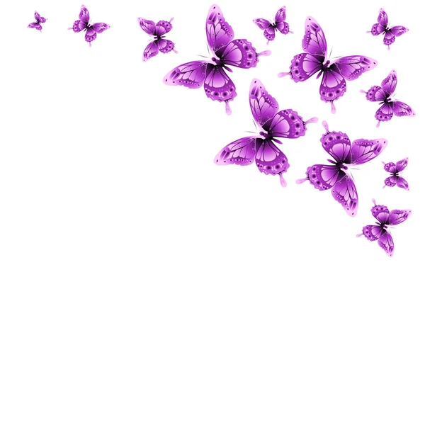 Roze Vlinders Ontwerp Geïsoleerd Een Witte Achtergrond — Stockfoto