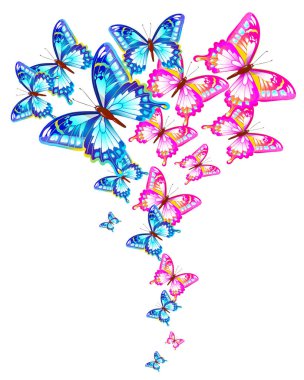 güzel renkli kelebekler, büyük kümesi, beyaz bir arka plan üzerinde izole