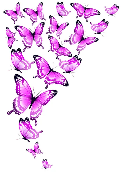 Дизайн Рожевих Метеликів Ізольований Білому Тлі — стоковий вектор