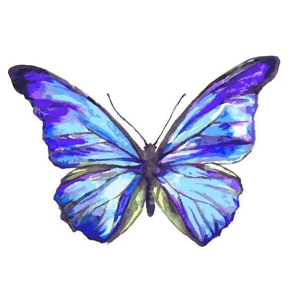 Gyönyörű Kék Pillangó Akvarell Elszigetelt Fehér Background — Stock Vector