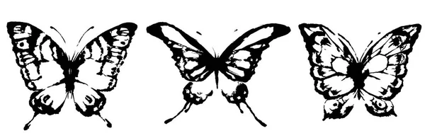 Czarny Motyl Białym Tle — Wektor stockowy