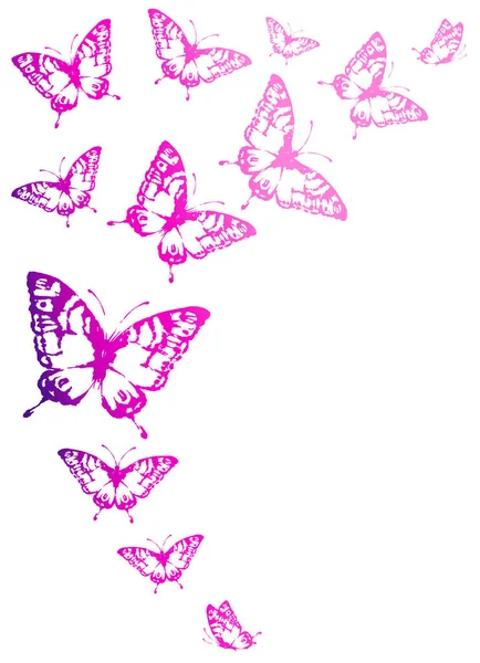 Hermosas Mariposas Rosadas Aisladas Blanco — Vector de stock