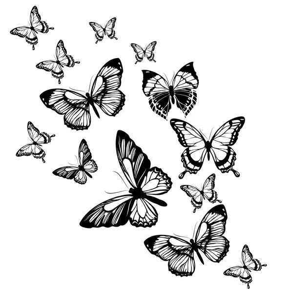 Set black white butterflies of a tattoo — Stock Vector © MariStep #5270760