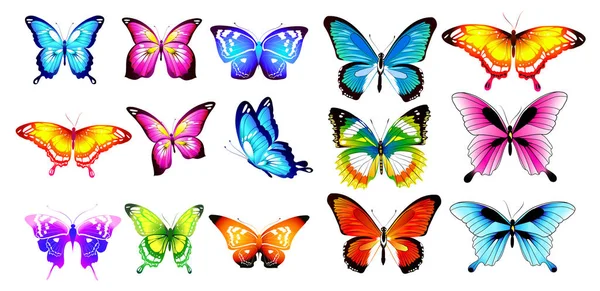 美しい色の蝶 セット 白で隔離 — ストックベクタ