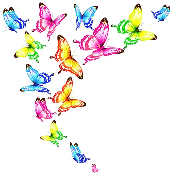 Красиві Кольорові Метелики Набір Ізольовані Білому — стоковий вектор