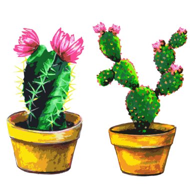 kaktüs, ayarla, sulu, beyaz izole