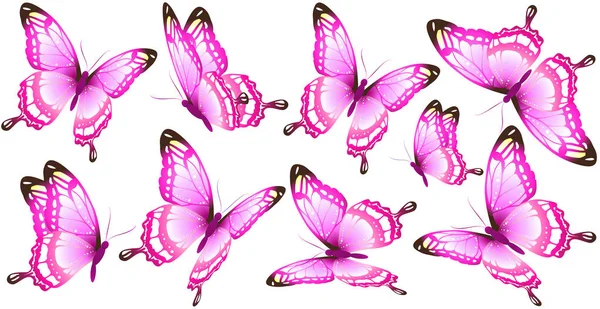 Piękne Różowe Motyle Białym Tle — Zdjęcie stockowe