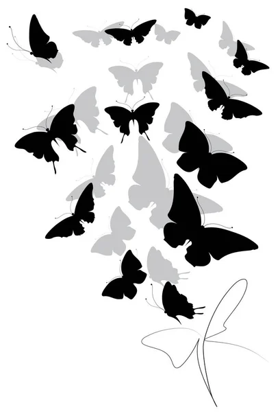 Vackra Svarta Fjärilar Isolerad Vit — Stockfoto