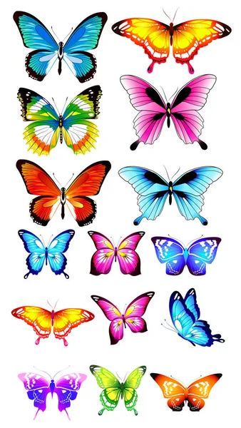 Wunderschöne Farbige Schmetterlinge Gesetzt Isoliert Auf Weiß — Stockvektor