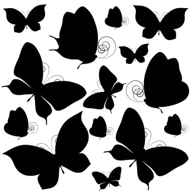 beyaz izole güzel siyah kelebekler