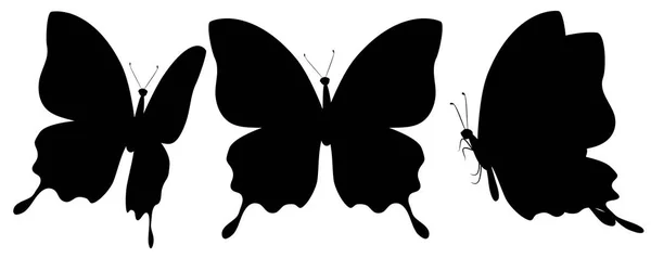 Hermosas Mariposas Negras Aisladas Blanco — Vector de stock