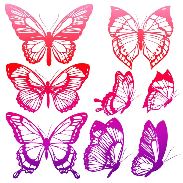 Beautiful Pink Butterflies Isolated White — Stock Vector