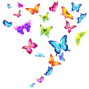 Beyaz arka plan üzerinde izole renkli kelebekler