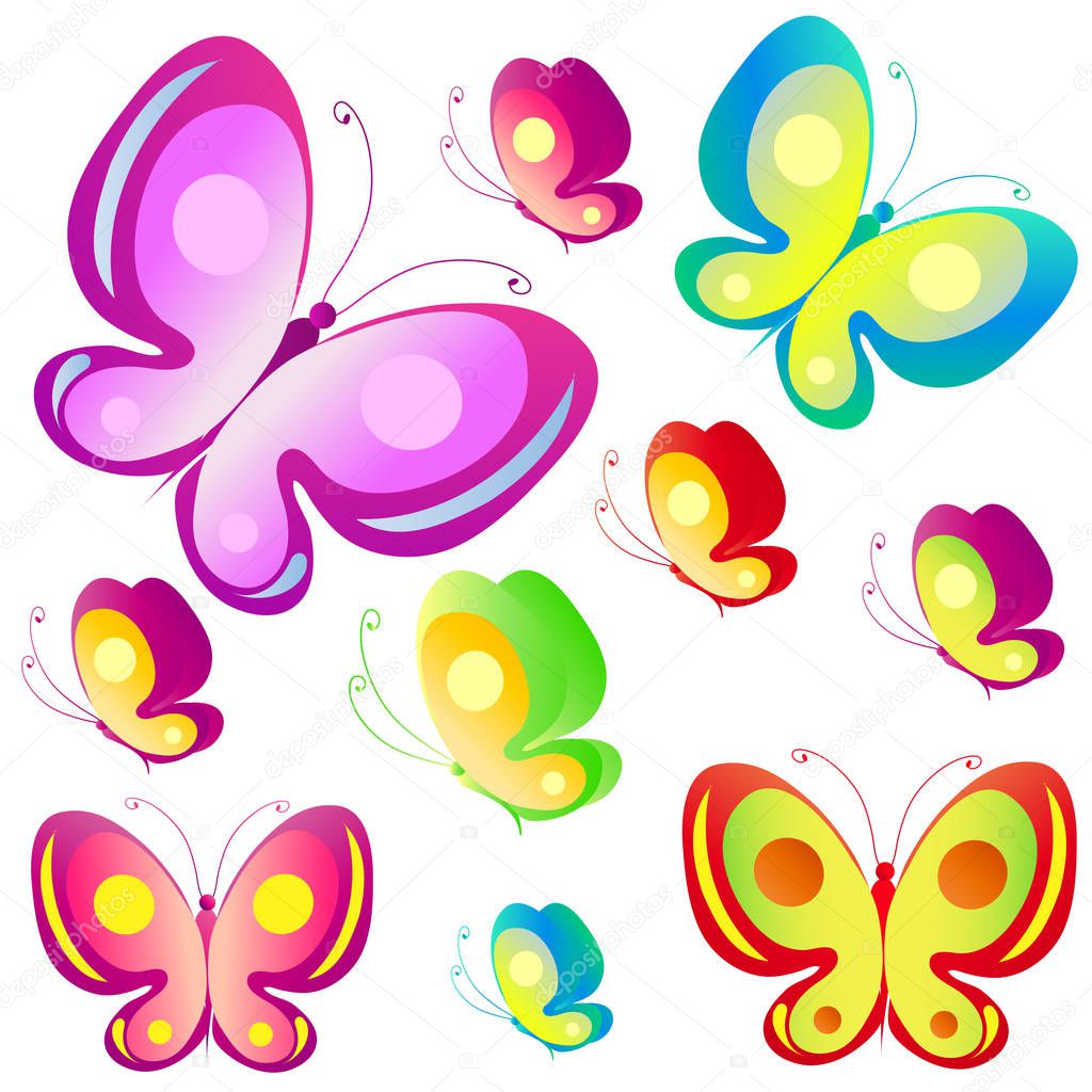 Colorful butterflies isolated on white background