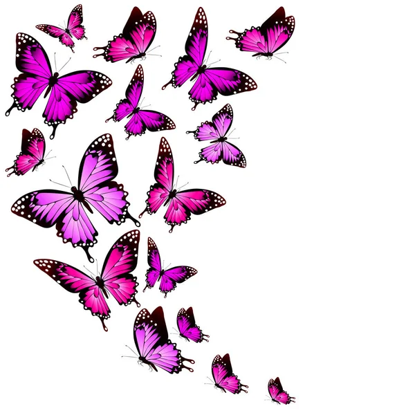 Roze Tedere Vlinders Geïsoleerd Witte Achtergrond — Stockvector