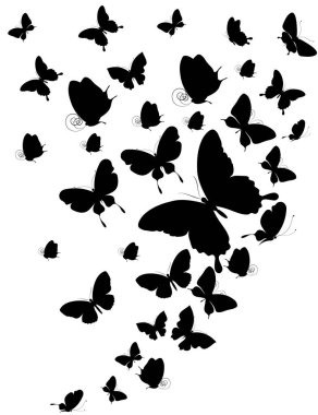 Beyaz arka plan üzerinde izole kelebeklerin siyah siluetleri