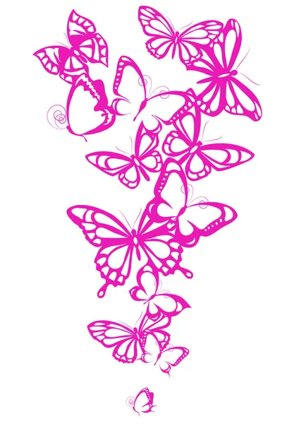 Pink Tender Butterflies Isolated White Background — Stock Photo, Image