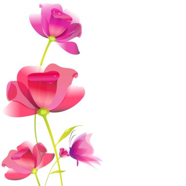 Beyaz arkaplanda izole edilmiş pembe güller