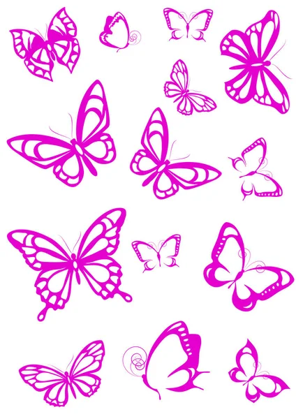 Pink Tender Butterflies Isolated White Background — Stock Vector