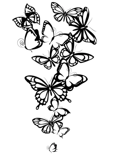 Silhouettes Noires Papillons Isolés Sur Fond Blanc — Image vectorielle