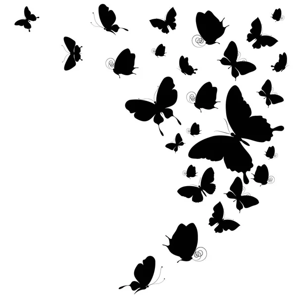 Schwarze Silhouetten Von Schmetterlingen Isoliert Auf Weißem Hintergrund — Stockvektor