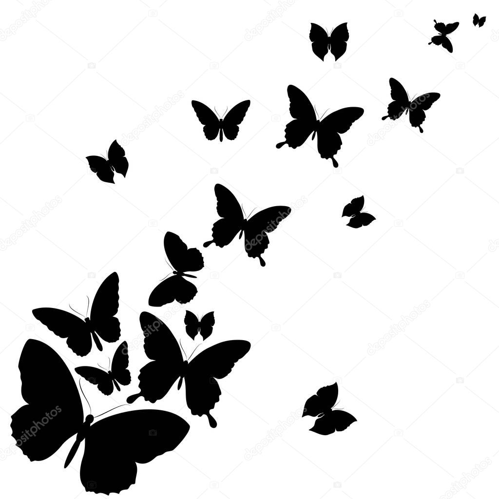 black silhouettes of butterflies isolated on white background