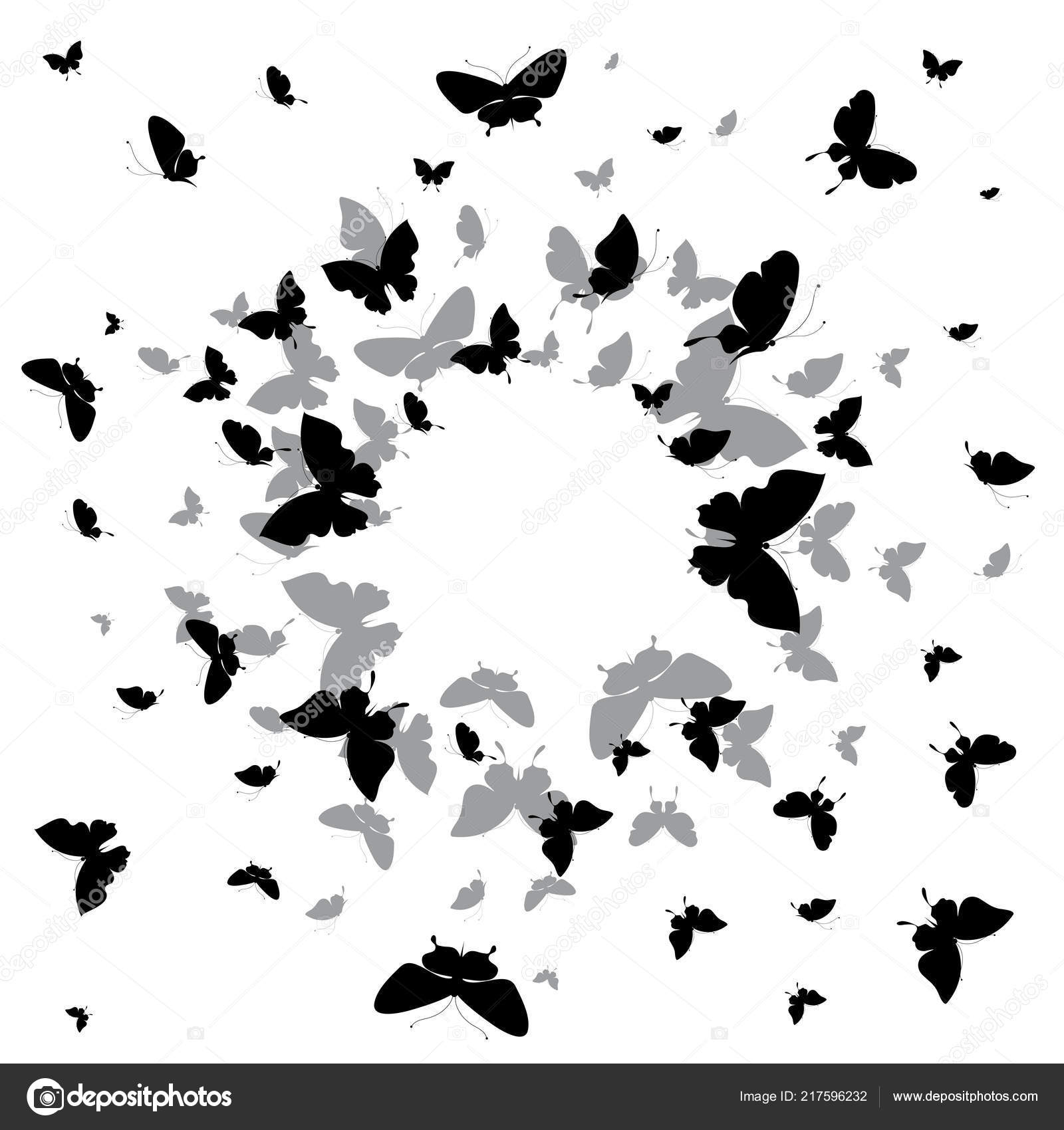 白色背景下的蝴蝶黑色剪影——图库图片© aboard #217596232