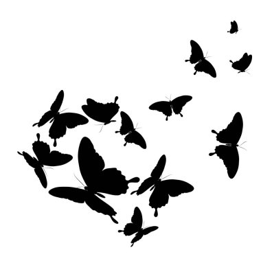 siyah beyaz arka plan üzerinde izole kelebekler silüeti