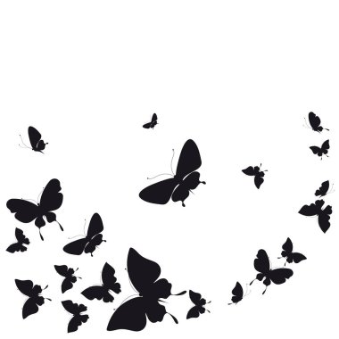 siyah beyaz arka plan üzerinde izole kelebekler silüeti