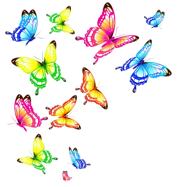 Conjunto Mariposas Colores Brillantes Aisladas Sobre Fondo Blanco — Foto de Stock