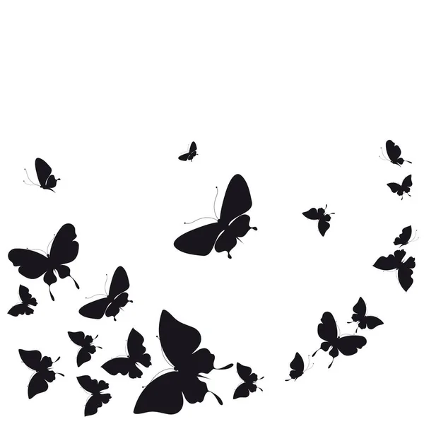 Black Silhouette Butterflies Isolated White Background — Stock Photo, Image