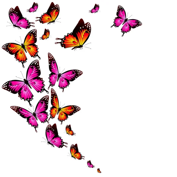 Aantal Heldere Kleurrijke Vlinders Geïsoleerd Witte Achtergrond — Stockvector