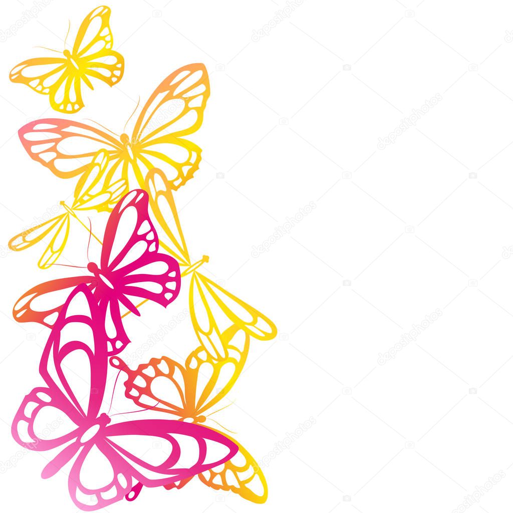Set of bright colorful butterflies isolated on white background