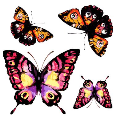 Beyaz arka plan üzerinde izole parlak renkli kelebekler dizi