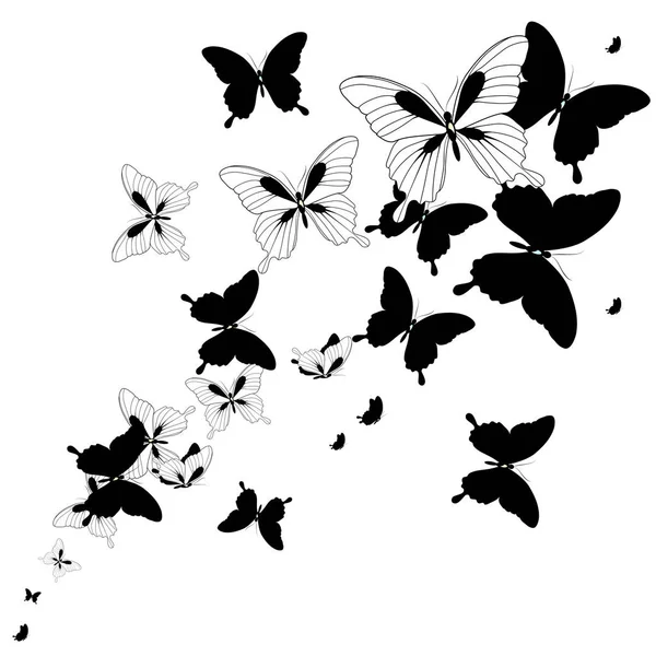 Czarne Sylwetki Motyle Białym Tle — Wektor stockowy