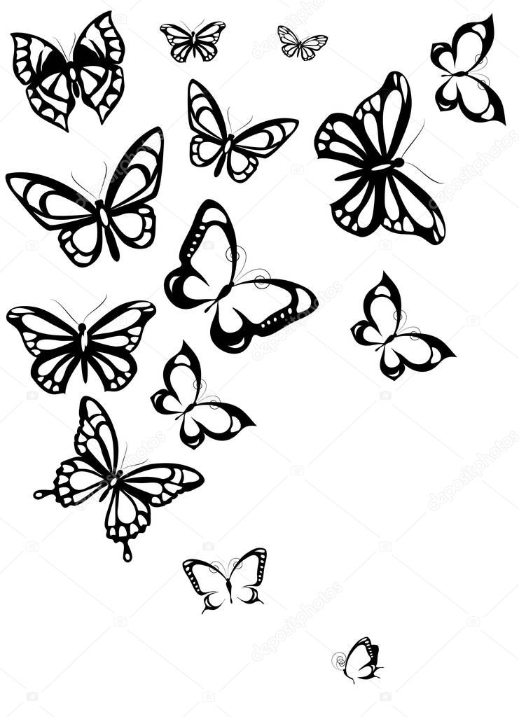 black silhouette of butterflies isolated on white background