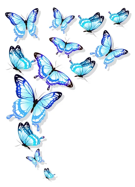 Niebieskie Motyle Izolowane Białym Tle — Wektor stockowy
