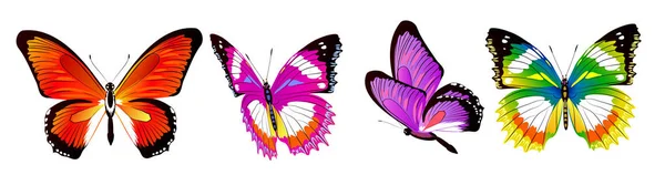 Aantal Heldere Kleurrijke Vlinders Geïsoleerd Witte Achtergrond — Stockfoto