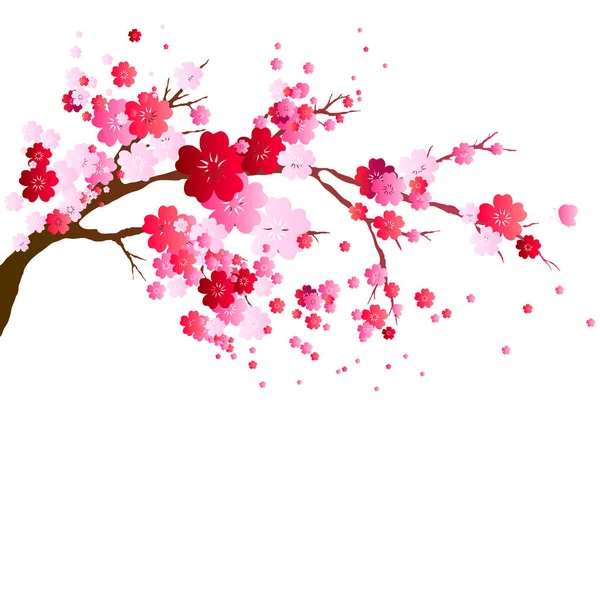 Сакура Дерево Акварельна Ілюстрація Вишневе Цвітіння — стокове фото