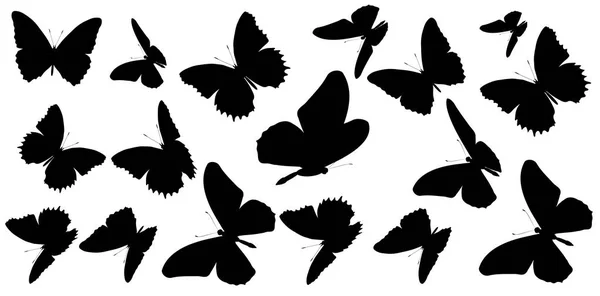 Silhouette Noire Papillons Isolés Sur Fond Blanc — Image vectorielle