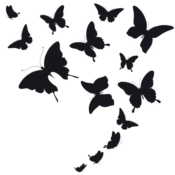 Czarne Sylwetki Motyle Białym Tle — Zdjęcie stockowe