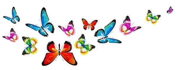 Набір Яскравих Барвистих Метеликів Ізольовані Білому Тлі — стокове фото