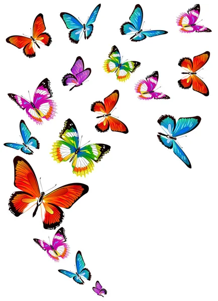 Conjunto Mariposas Colores Brillantes Aisladas Sobre Fondo Blanco —  Fotos de Stock