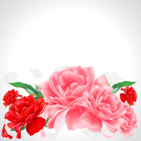 Rosas Rosadas Brillantes Aisladas Sobre Fondo Blanco — Foto de Stock