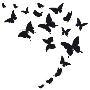 siyah beyaz arka plan üzerinde izole kelebekler silüeti