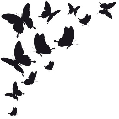 siyah beyaz arka plan üzerinde izole kelebekler silüeti