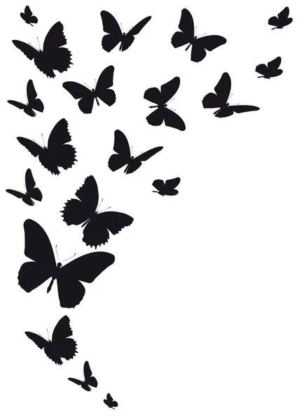 Silhouette Noire Papillons Isolés Sur Fond Blanc — Image vectorielle