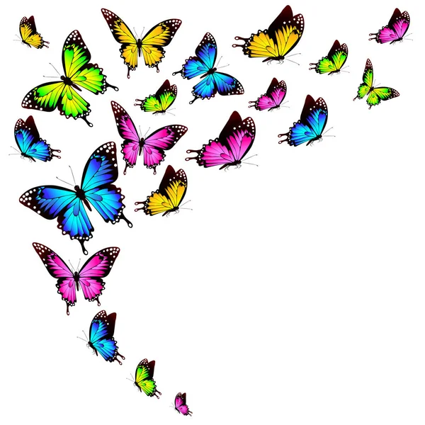 Ensemble Papillons Colorés Lumineux Isolés Sur Fond Blanc — Image vectorielle