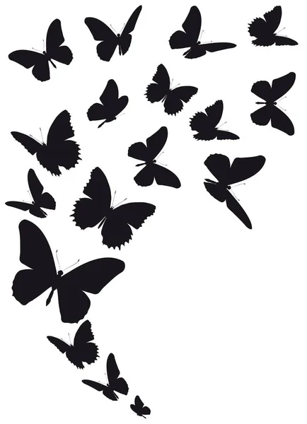 Silueta Negra Mariposas Aisladas Sobre Fondo Blanco — Vector de stock